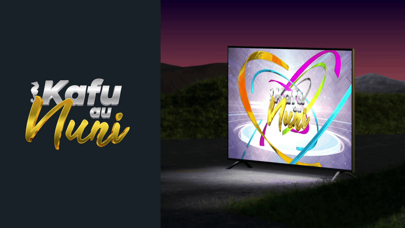 France TV — Habillage TV intro