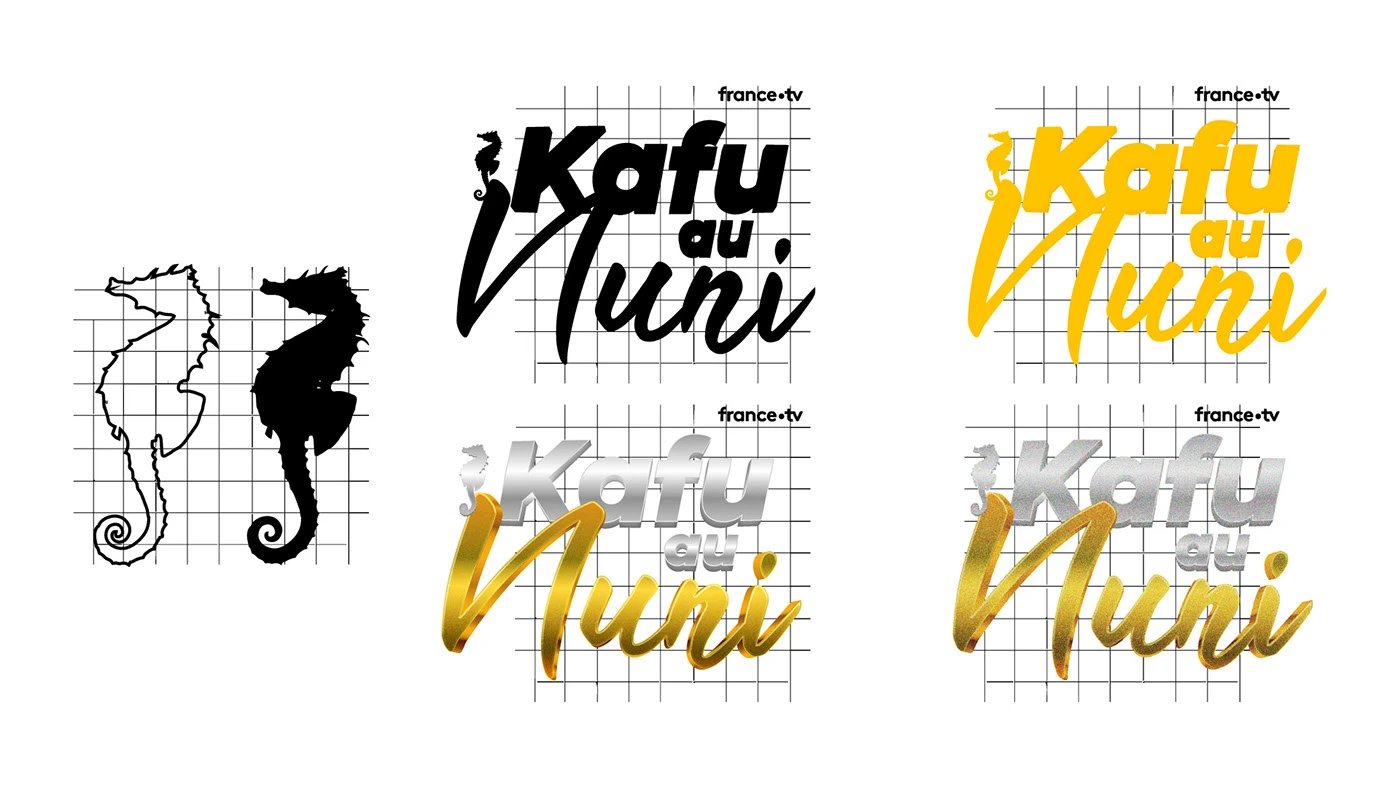 France TV — Visuels émission