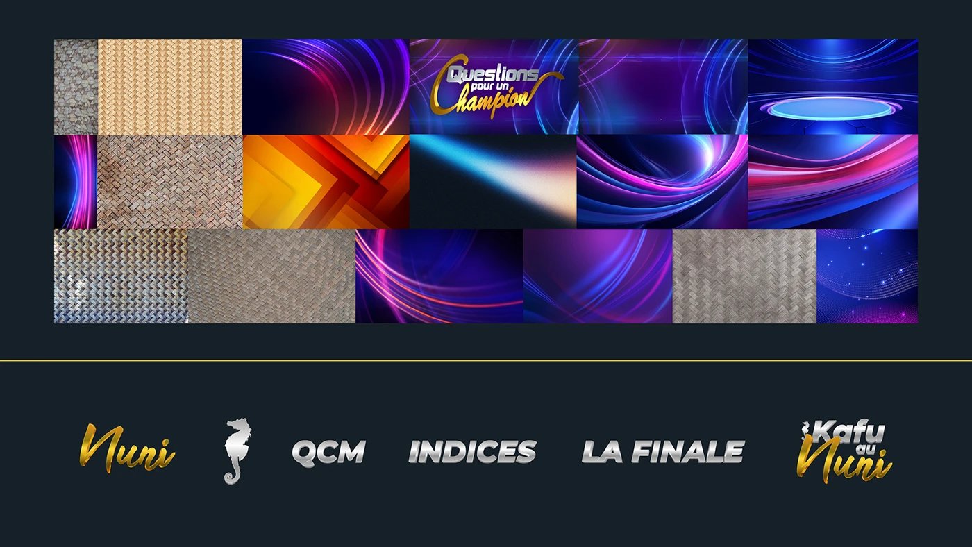 France TV — Planche graphique 7