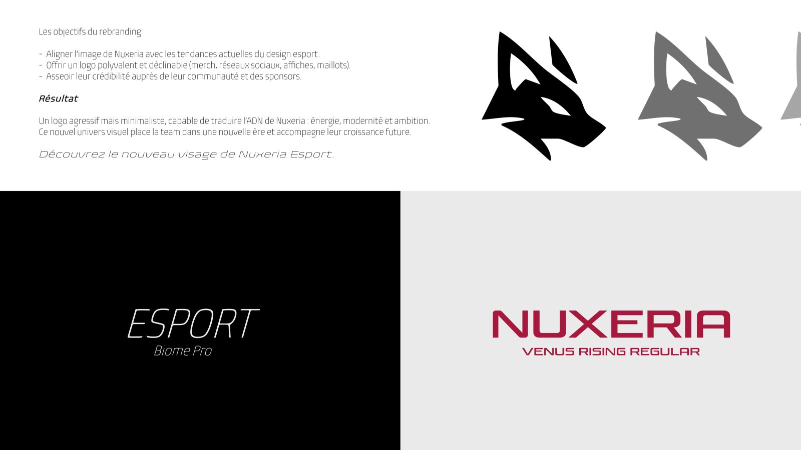 Nuxeria — Rebranding / Logo — Vue 11