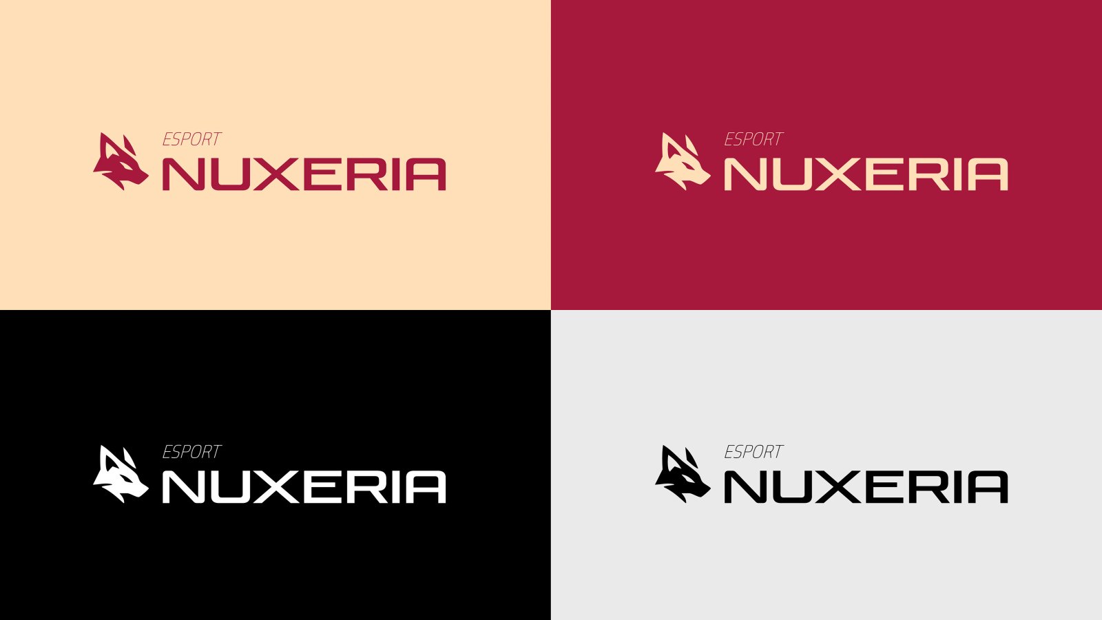 Nuxeria — Rebranding / Logo — Vue 10