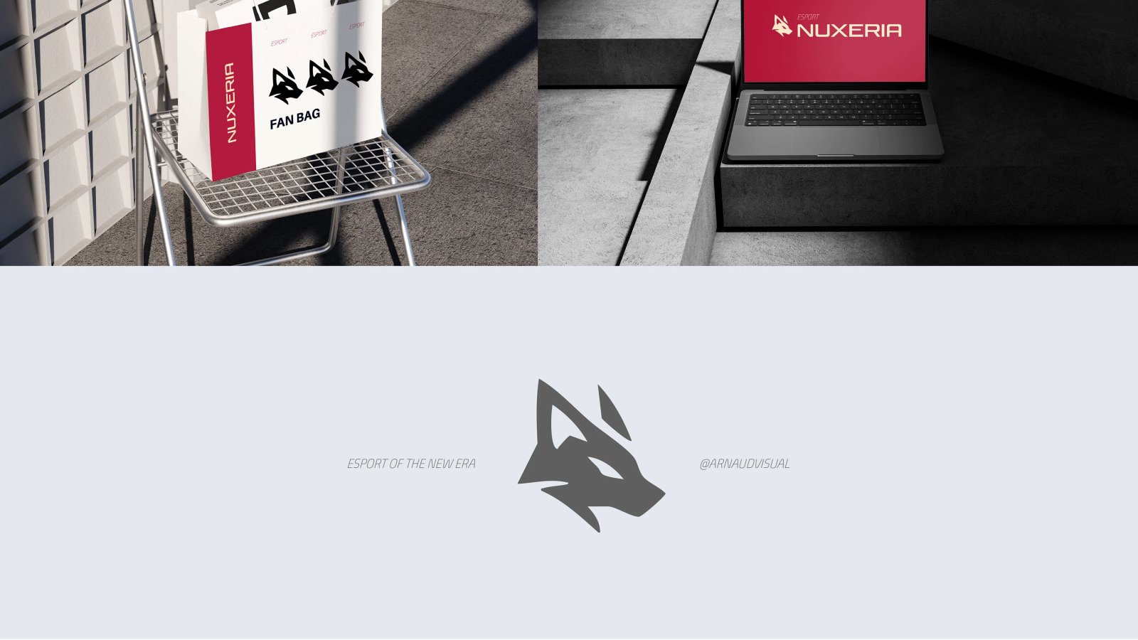 Nuxeria — Rebranding / Logo — Vue 13