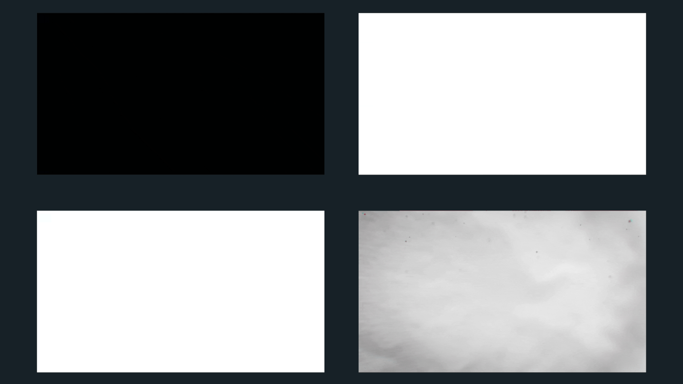 Segepar — Animation process — Vue 11