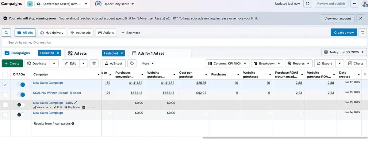 Shape Revive — TikTok Ads — Vue 2